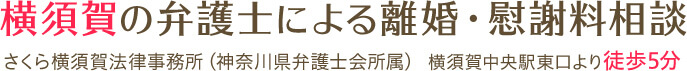 横須賀の弁護士による離婚・慰謝料相談 さくら横須賀法律事務所(神奈川県弁護士会所属) 横須賀中央駅東口より徒歩5分